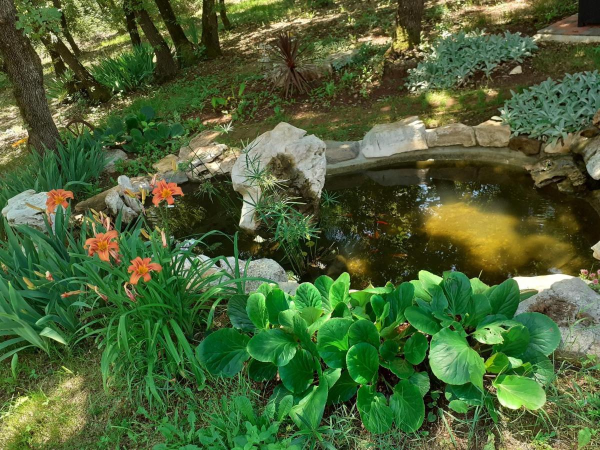 Seget  Bed And Breakfast Julia מראה חיצוני תמונה