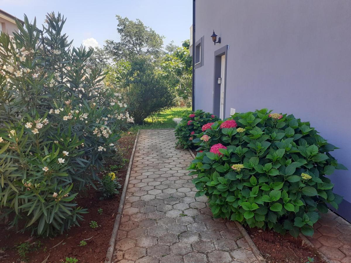 Seget  Bed And Breakfast Julia מראה חיצוני תמונה