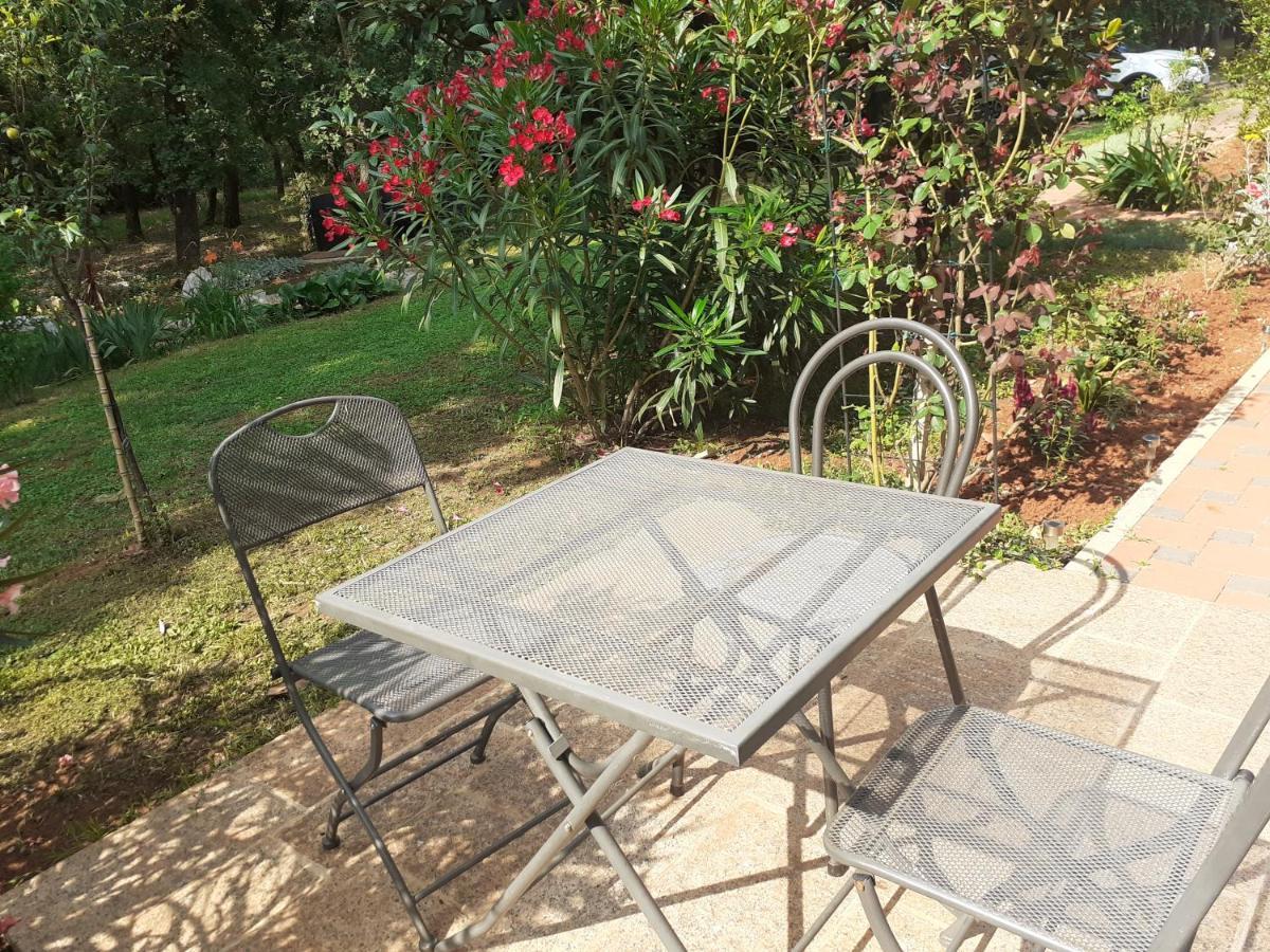 Seget  Bed And Breakfast Julia מראה חיצוני תמונה