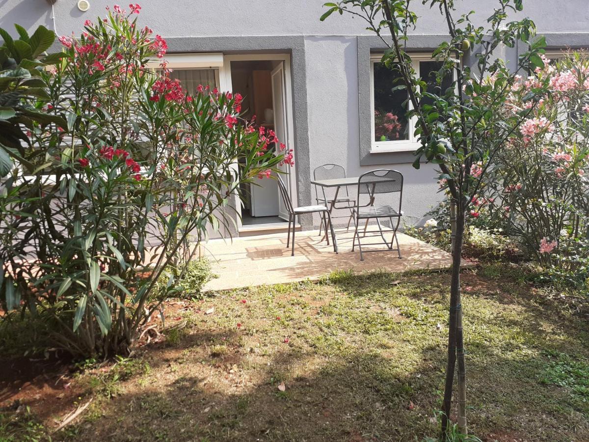 Seget  Bed And Breakfast Julia מראה חיצוני תמונה
